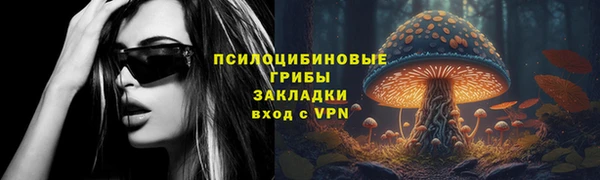 эйфоретик Арсеньев