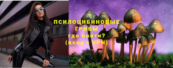 соль ск Аркадак